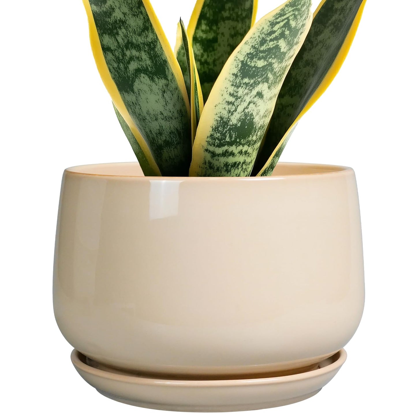 G EPGardening Ceramic Planter - 7 Inch Plant Pots with Drainage and Ceramic Tray, Flower Pots for Indoor Plants, Round Outdoor Planter, Room Decor, Gifts for Plant Lovers, Beige