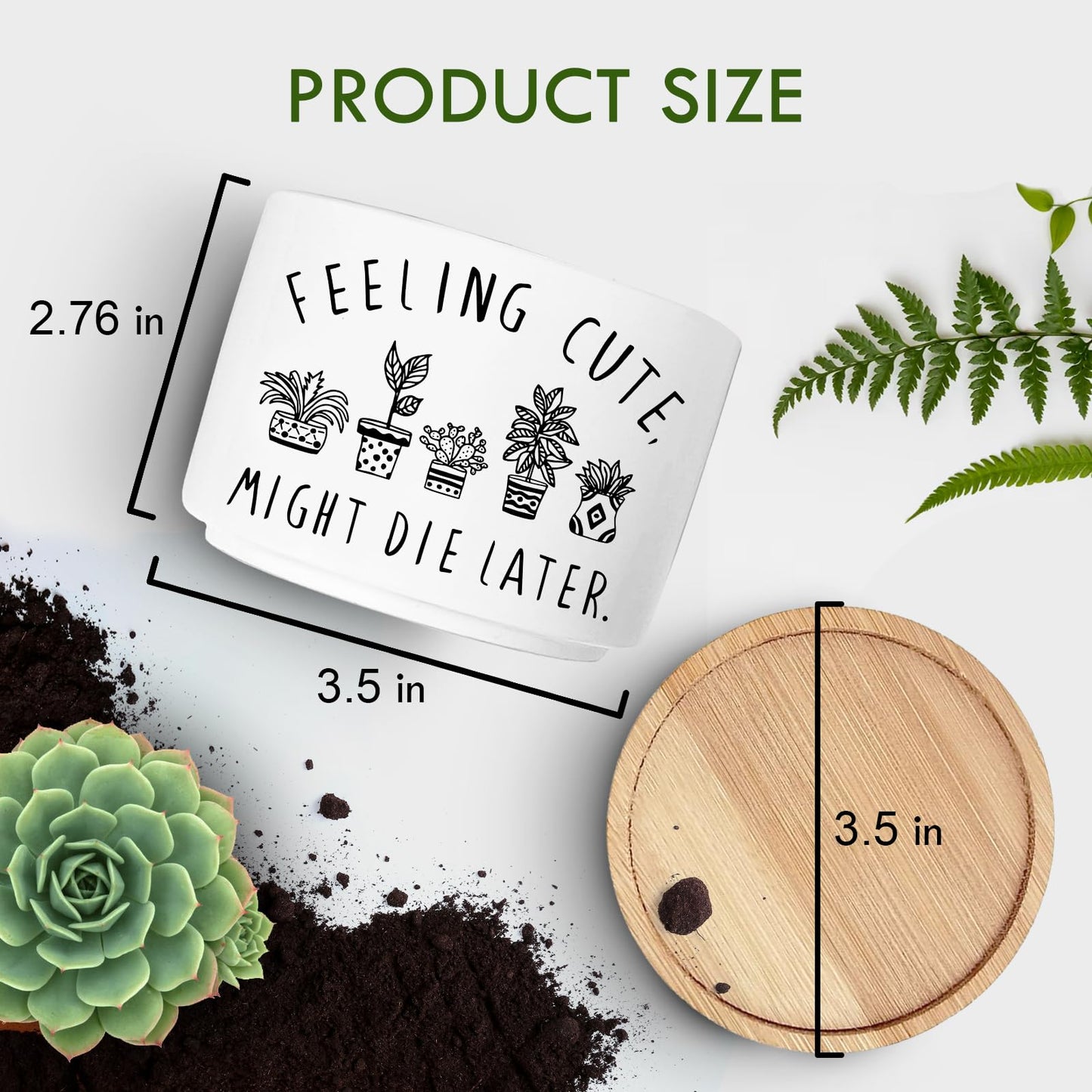 Jutasty Funny Succulent Plant Pot, Small Flower Planter for Indoor Plants, Cute Ceramic Cactus Planter Pots with Drainage, Windowsill Desk Decor Unique Planter Gift, Feeling Cute (No Plants)