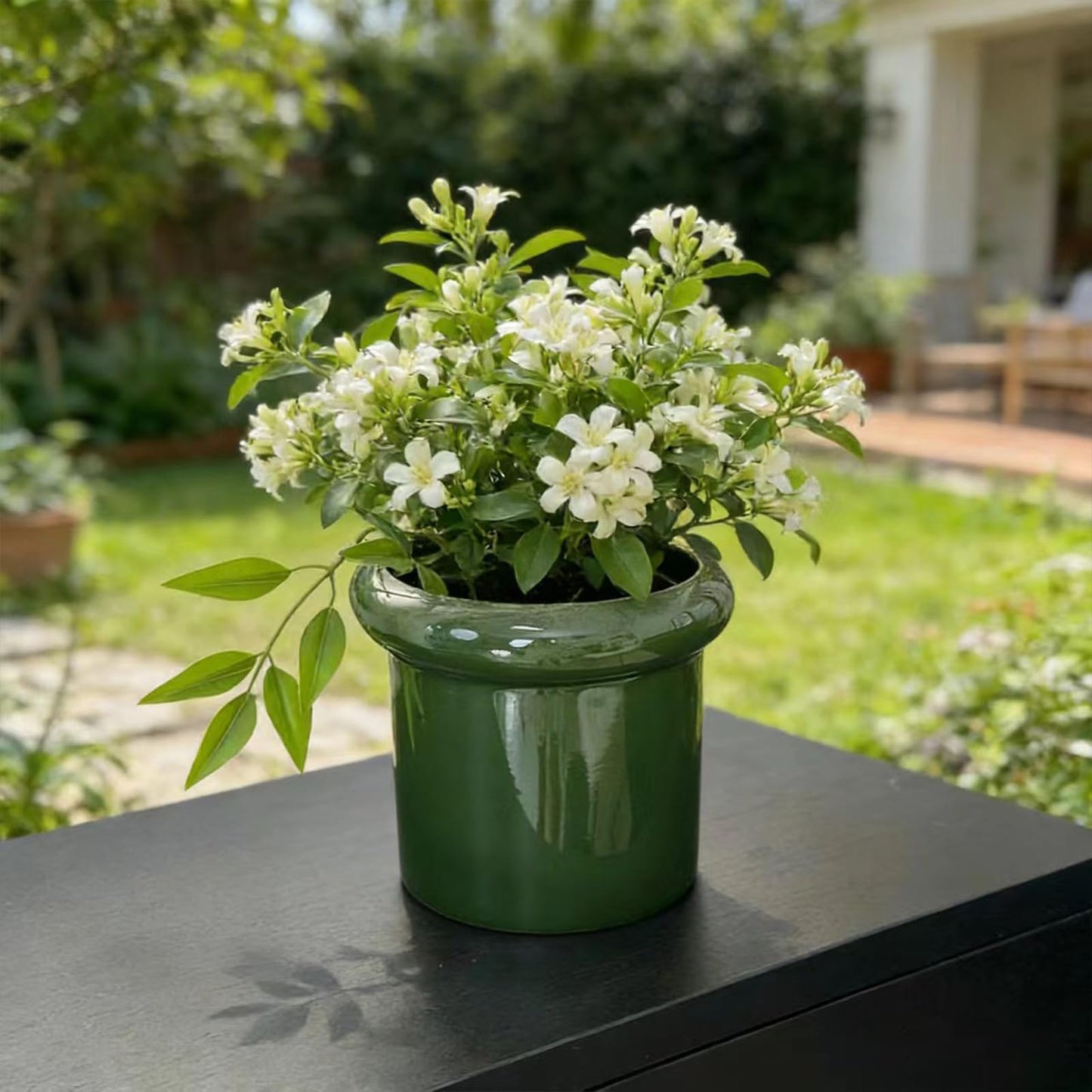 DJMKLCZTTKX Ceramic Flowerpot with Tray,Dark Green Home Decor Planters for Bedroom Balcony and Office,Ceramic Pots for Plants and Perennial Flowers for Housewarming
