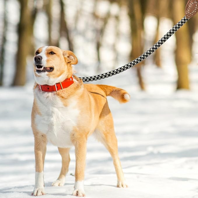 Mile High Life Rope Leash with Genuine Leather Connection, 6 FT/5 FT/4 FT, Heavy Duty Leash for Medium & Large Dogs (Black Khaki, 48 Inch)