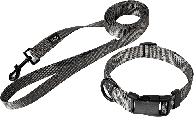 Country Brook Petz - Everyday Nylon Dog Collar and Leash - 10+ Cool Colors (3/4 Inch, Small, Charcoal)