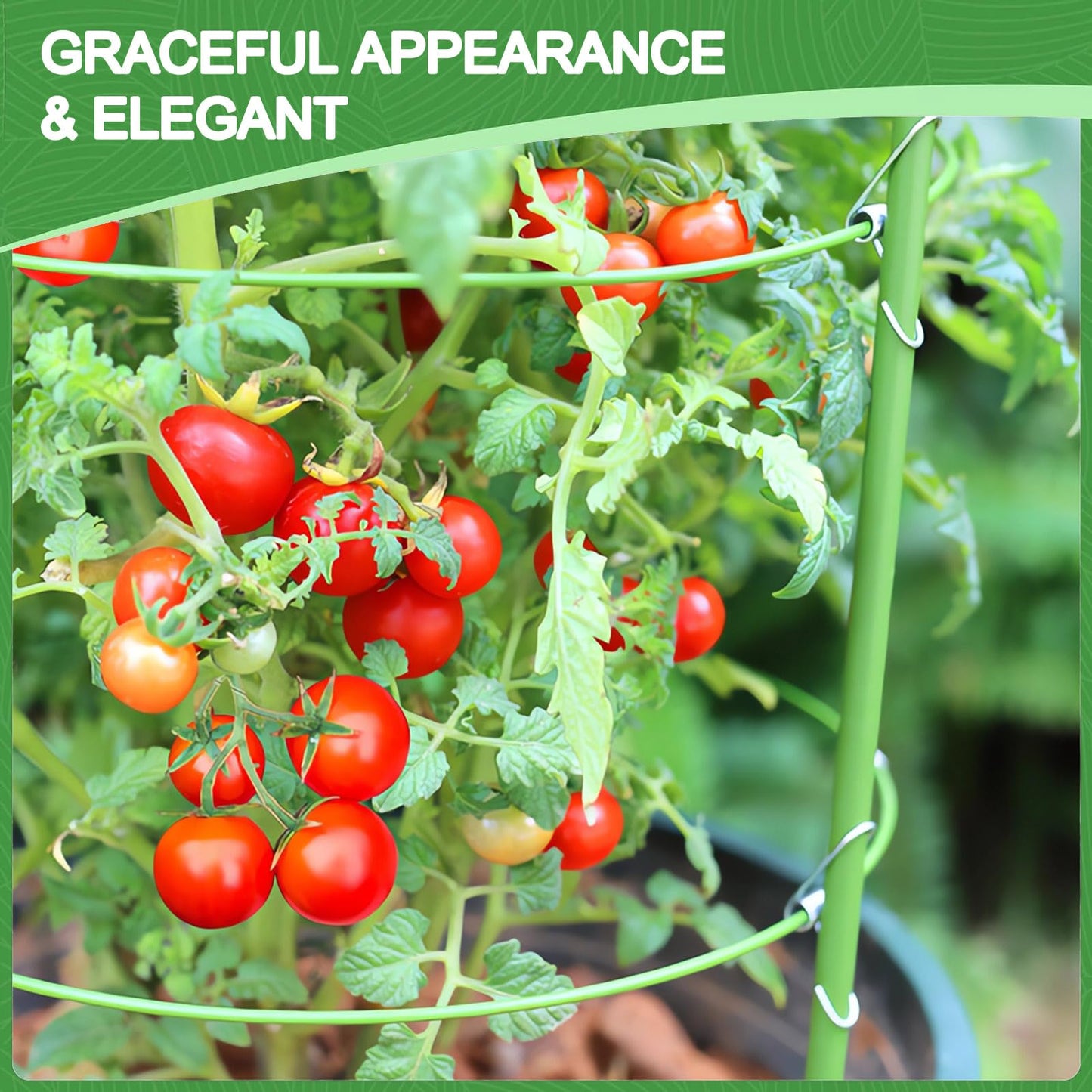 KLS 3 Pack Tomato Cage for Pots Plant Support, Upgrade 36 Inches Tomato Cages for Garden, Pepper Cage Trellis Kit with Plant Tie and Clips (36")