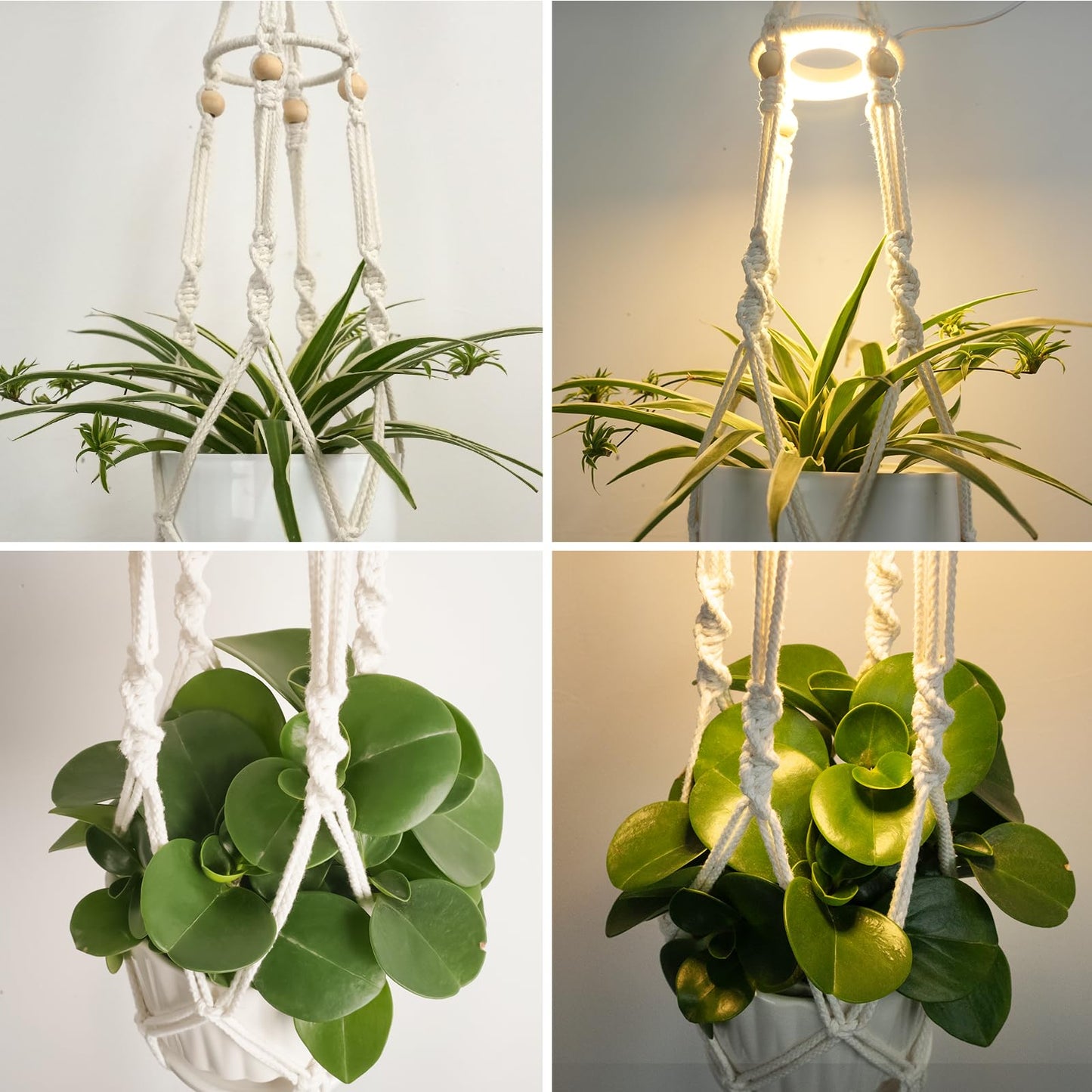 MSFON 2 Pack Macrame Plant Hanger with Grow Light: Sturdy Hanging Planters for Indoor Plants, Cute Plant Holder with Plant Light, Fits 5–9 Inch Pots (Daylight Spectrum)