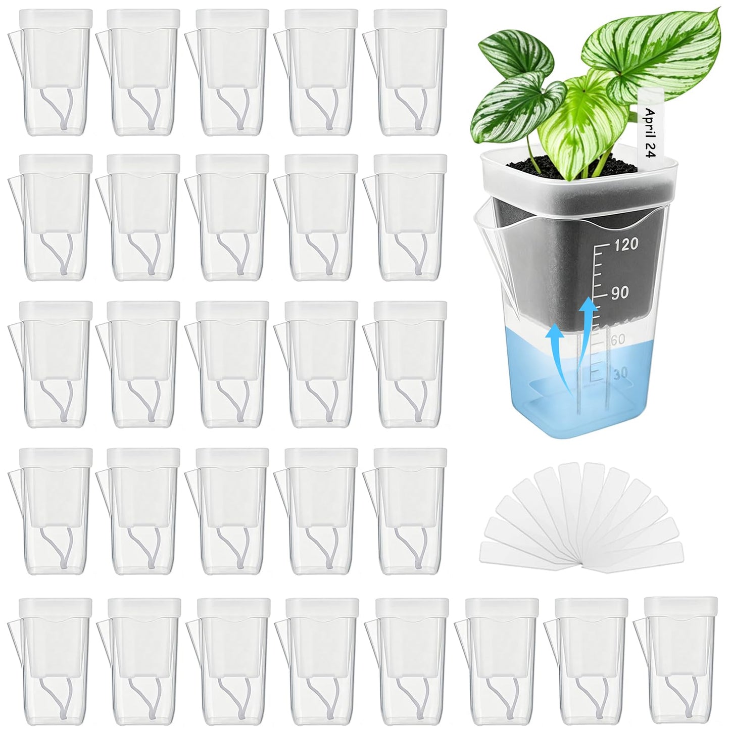 YZNlife 30 Pack 2" Small Self Watering Pots for Indoor Plants with 30 Plant Label Mini Clear Plastic Planters with Water Level and Drainage Holes for Propagation, Succulents, and African Violet