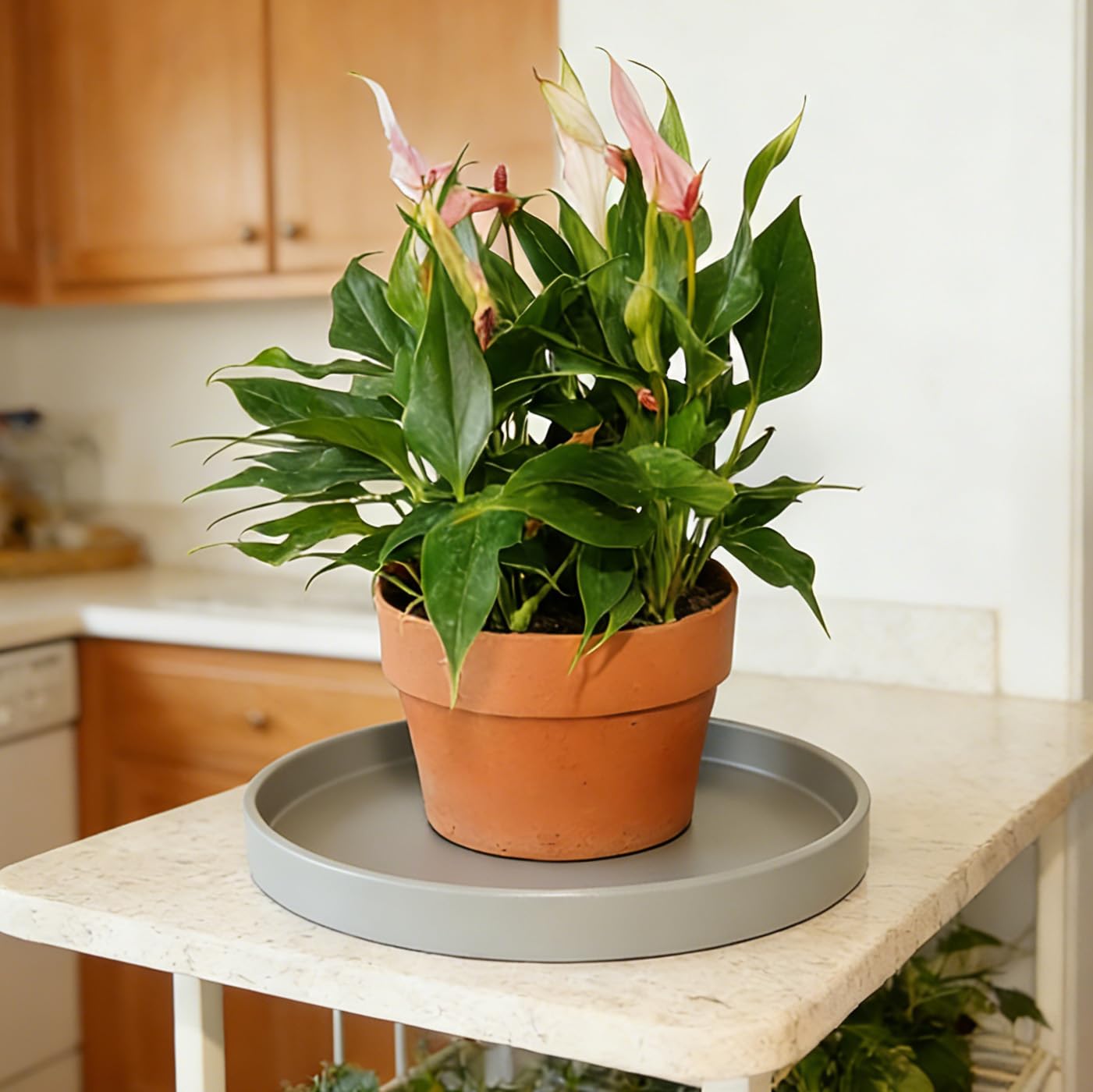 Afrine 1 Pack 12 inch Plant Saucer Drip Tray, Heavy Sturdy Plastic Planter Flower Pot Drainage Tray Plate Saucers for Indoor Outdoor Garden, Plant Water Drip Trays for pots Base (12", Gray)