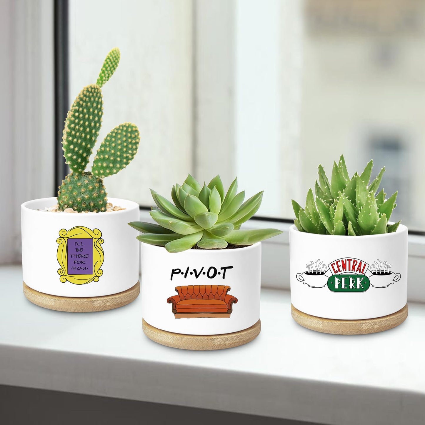 Ywkuiev Succulent Planter, Flower Cactus Plant Pot, Friends Merchandise, Funny Friendship Decor Themed Gifts for Men Women Best Friends Bestie Sister Housewarming Gift (Plants Not Included)