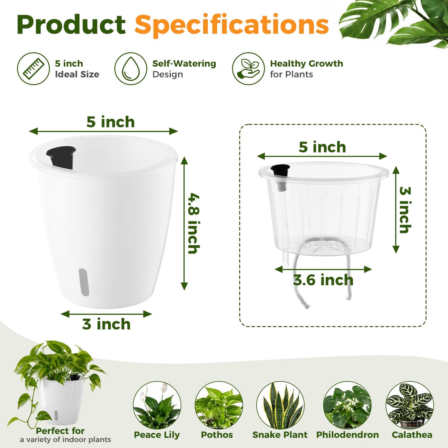 KvyusFlourish Upgraded Self Watering Pots for Indoor Plants, 4-Pack 5 Inch Top-Fill Self Watering Planter with Water Window, Orchid Pots, Clear Wick Inner Basket with Drainage, White