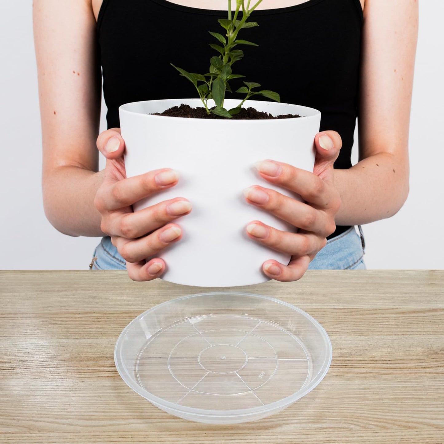 Dapsang 6 Pack Plant Saucers of 10 Inch, Clear Plastic Plant Trays for Pots Indoor Outdoor, Round Durable Sturdy Plant Water Catcher Tray for Drainage Decoration Protection