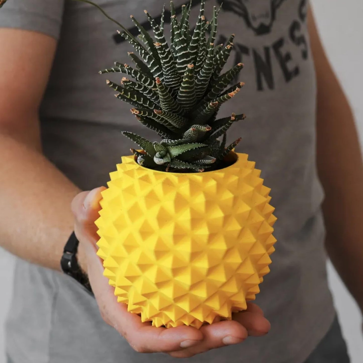 TIME&TRAVE Cute Pineapple-Inspired Indoor Plant Pots - 4.96 Inch Fower Pot Small Succulent Green Plants Pot, Cute Plant Gifts for Plant Lovers