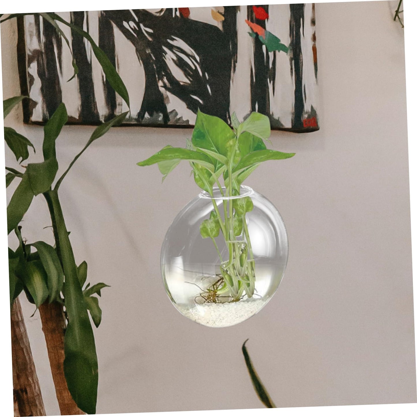 BIUDECO Wall Hanging Glass Terrarium Planter Stylish Hydroponic Flower Vase for Indoor Plants Transparent Design for Home Decor for Succulents and Plant Arrangements
