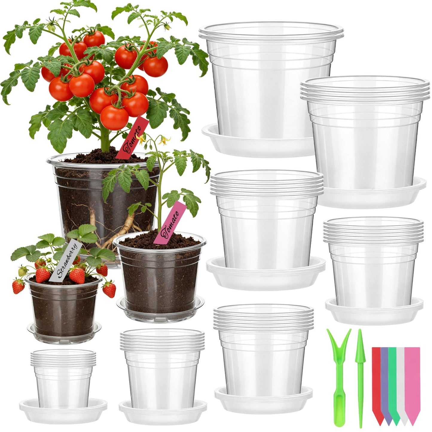 30Pcs Clear Plastic Nursery Pots with Drainage Holes and Saucers, 2.8/3/3.5/4/5/6/7 Inch Grow Seedling Starte Pots with Labels & Punch Tool for Indoor Plants, Flower, Herb, Succulent Transplanting
