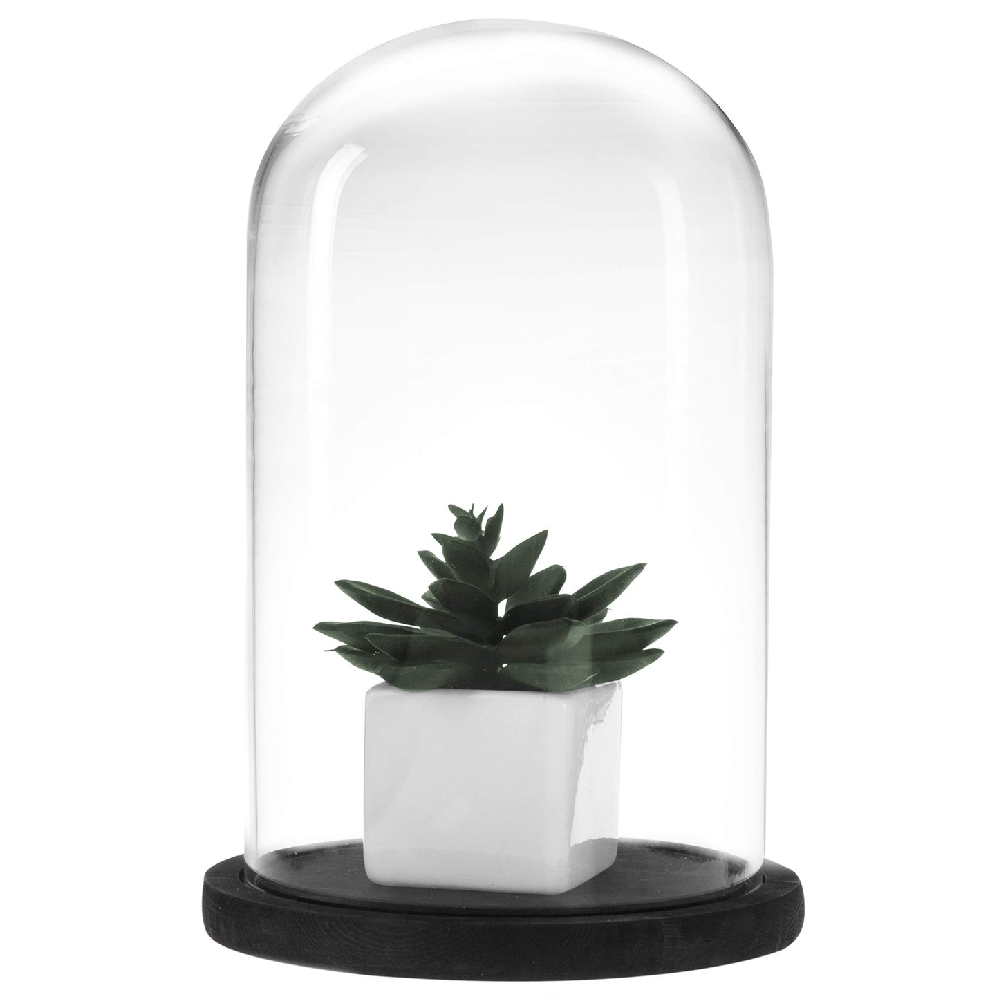 MyGift The Bell Jar Glass Cloche with Black Wood Base, 10 Inch Tall Clear Decorative Glass Dome Display for Plants, Curios, Keepsakes, Heirlooms