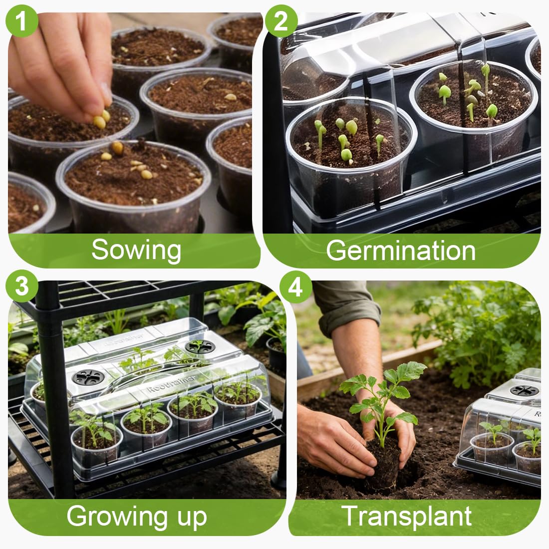 RooTrimmer 5 Pack 12 Cell Nursery Pot Trays with Adjustable Humidity Domes & 4 Inch Clear Pots 60 Pack, Sturdy Seed Starting Kit for Greenhouse Garden, Reusable Plant Growing Germination 5 Sets