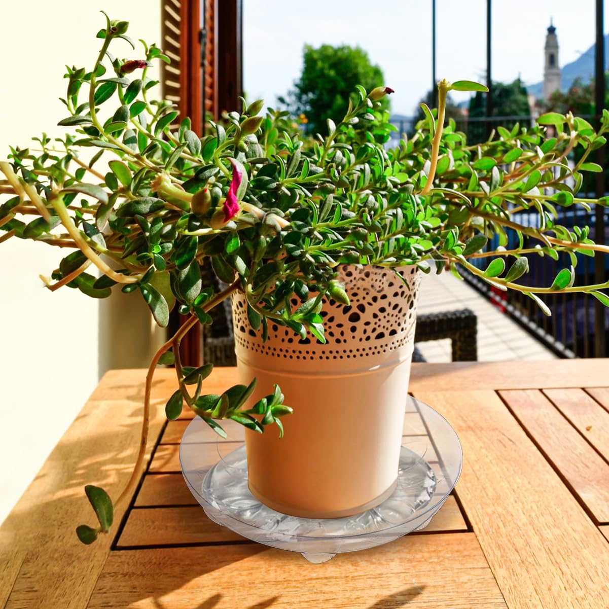 ANPHSIN 15 pcs Heavy-Duty Plant Saucers with Feet, 6in/8in/10in Clear Plastic Plant Drip Trays, Flower Pot Water Catchers Drainage Saucers for Indoor Outdoor Potted Plant