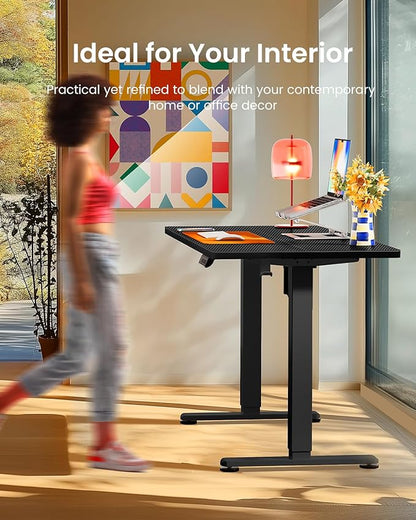 ErGear Height Adjustable Electric Standing Desk, 48 x 24 Inches Sit Stand up Desk, Memory Computer Home Office Desk, Carbon Fiber Black