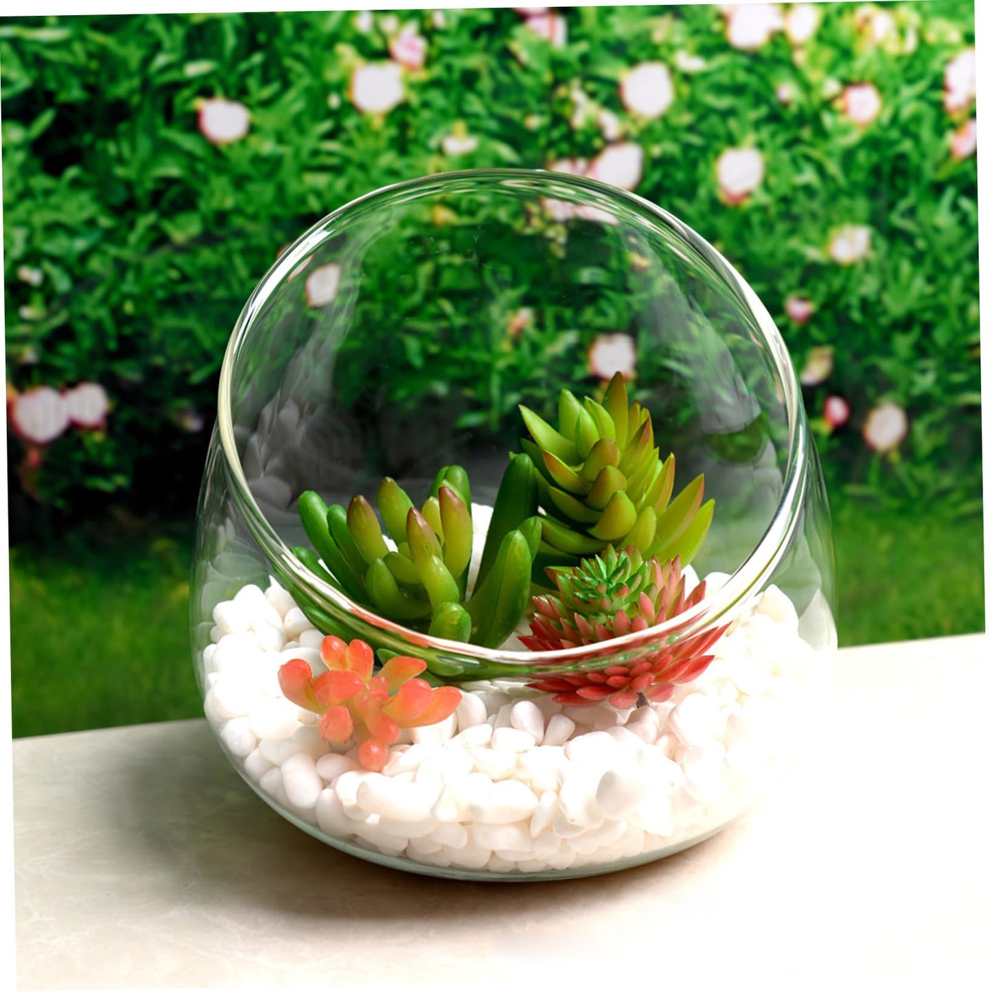 Yardwe Glass Terrarium Bottle 4.72In Thickened Succulent Decor with Slant Cut Design for Indoor Outdoor Home Ecological Ornament and Micro Landscape Display