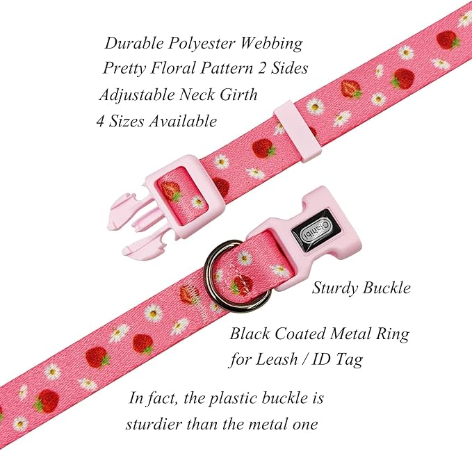Dog Collar Leash Set, Floral Pattern, Polyester Material, Adjustable Collar and 5ft Matchcing Leash, for Puppy Dogs.(XS, Daisy and Strawberry)