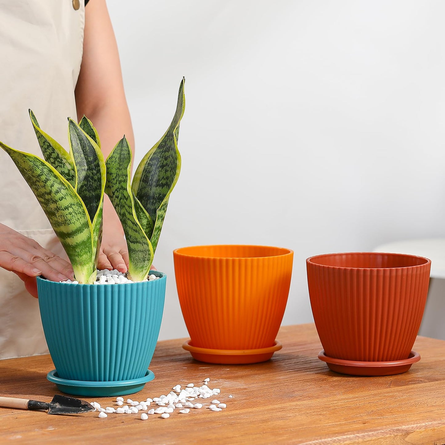 YENXIKU 6 Inch Plant Pots with Self Watering Planter Insert - Flower Pots for Indoor Plants with Drainage Holes and Saucers - Gardening Pots, Planters & Accessories for Orchid and Succulent, 5 Packs