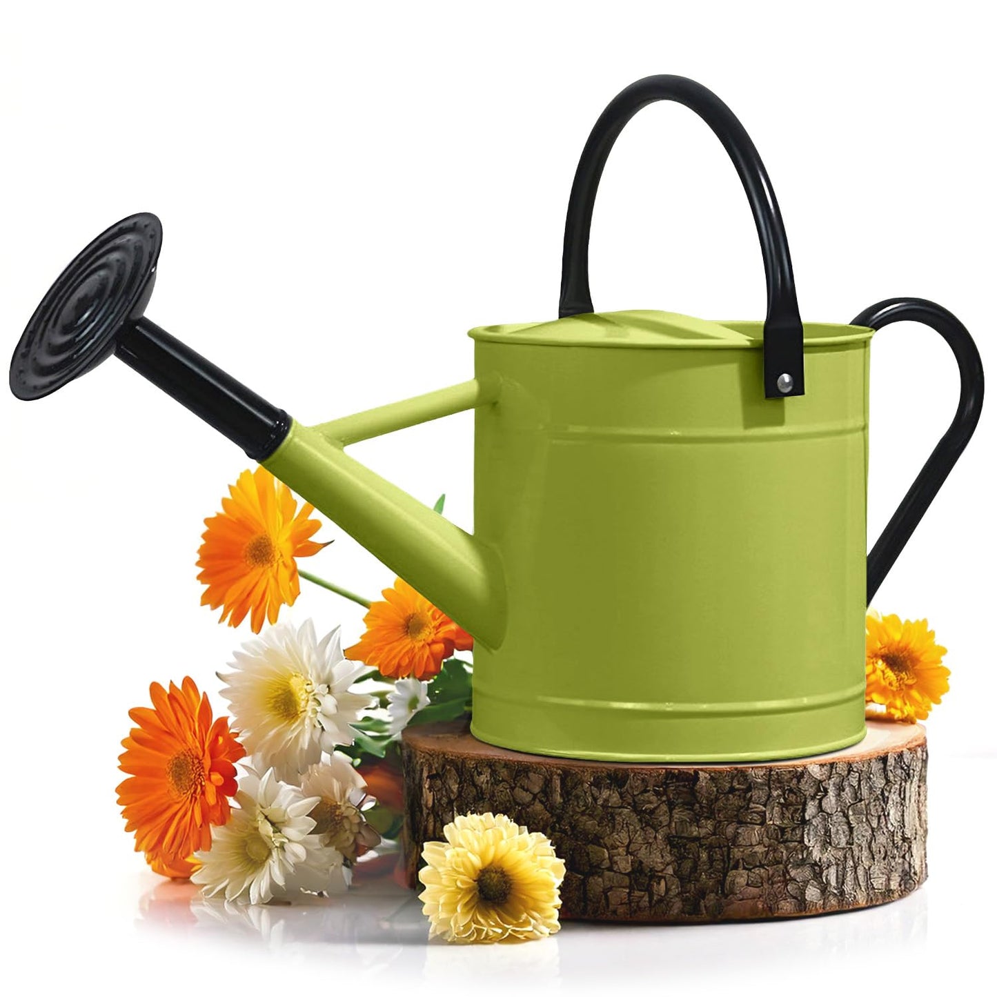 Plexon Metal Watering Can Outdoor 1 Gallon, Flower Plant Gardening Garden Large Green Watering Can Pot, Galvanized Steel Handles - Removable Spray Spout, Green
