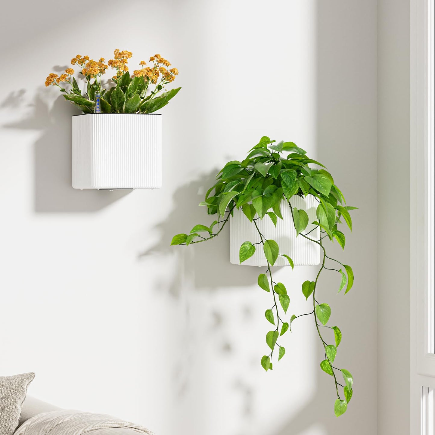Pawfly 2 Pack Self-Watering Wall Planters for Indoor Plants, 5.5" x 5.5" x 5.3", Wall Plant Holders Plant Hanger Indoor, Wall Hanging Planters for Indoor Plants, Hanging Plant Pots Flower Pots