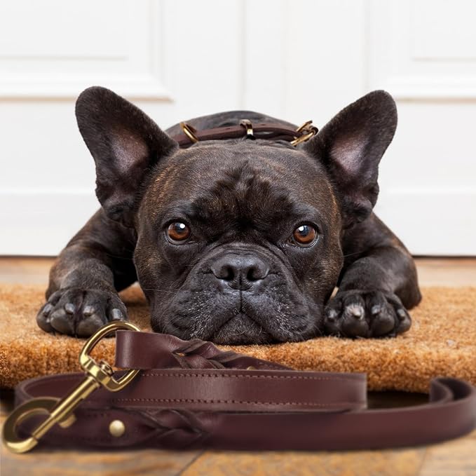 Heavy Duty Genuine Leather Dog Collar and Leash Set - 5ft Soft and Durable With Metal Buckle - Adjustable, Compatible for Small to Medium Dogs