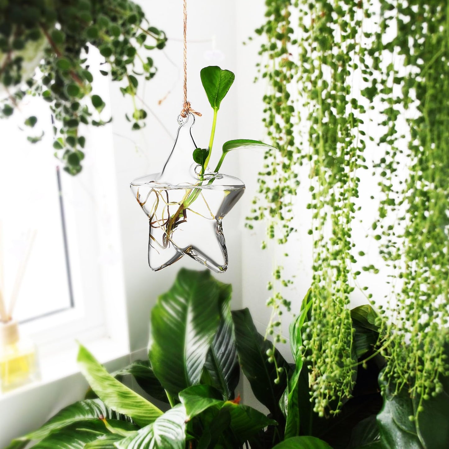 NUOBESTY Hanging Glass Flower Vase Hydroponic Glass Planter Marine Shape Small Terrarium Pot for Indoor Plant Propagation Home Décor