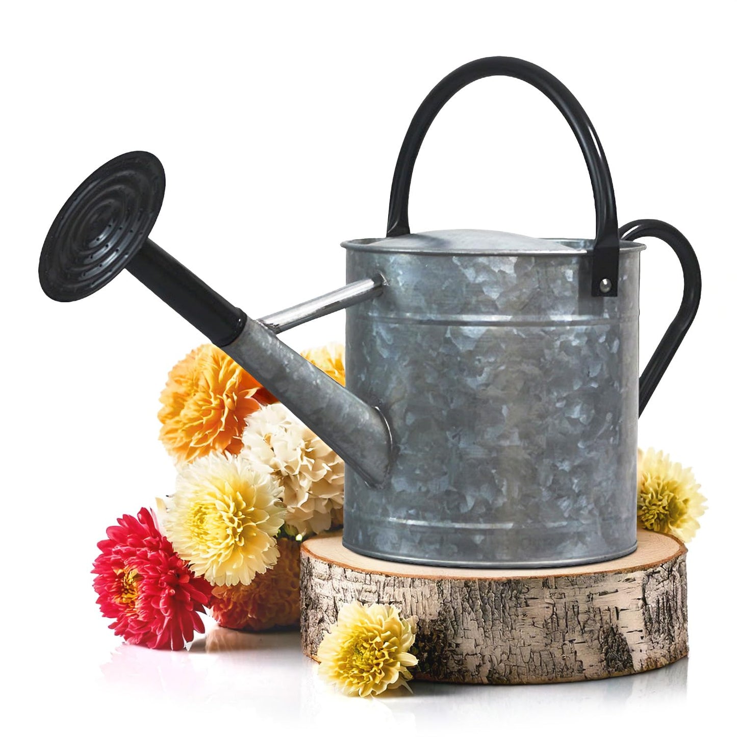 Plexon Metal Watering Can Outdoor 1 Gallon, Flower Plant Gardening Garden Large Galvanized Watering Can Pot Pitcher, Steel Black Handles and Removable Spray Spout