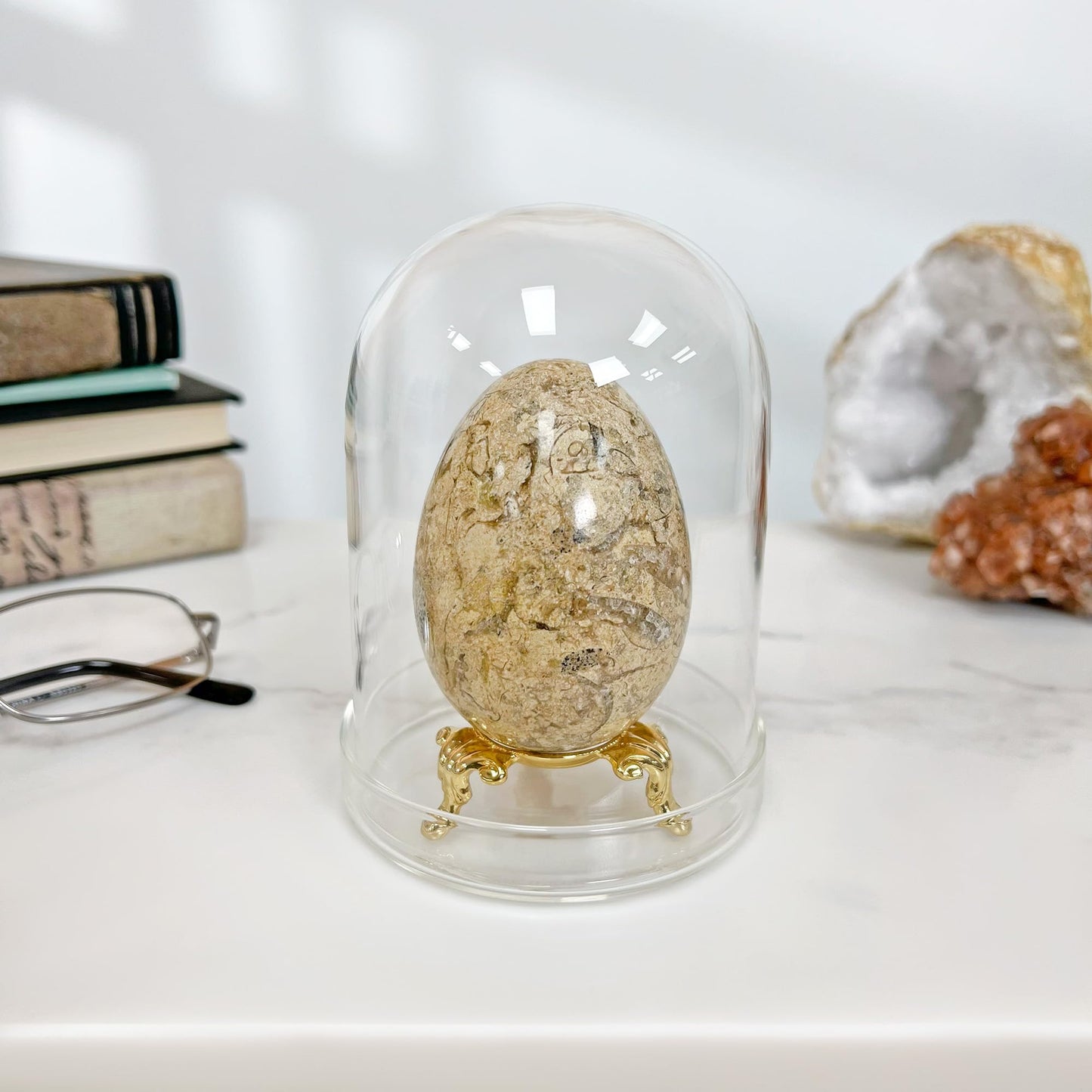 Plymor 3" x 4" Glass Display Dome Cloche (Clear Glass Tray Base)
