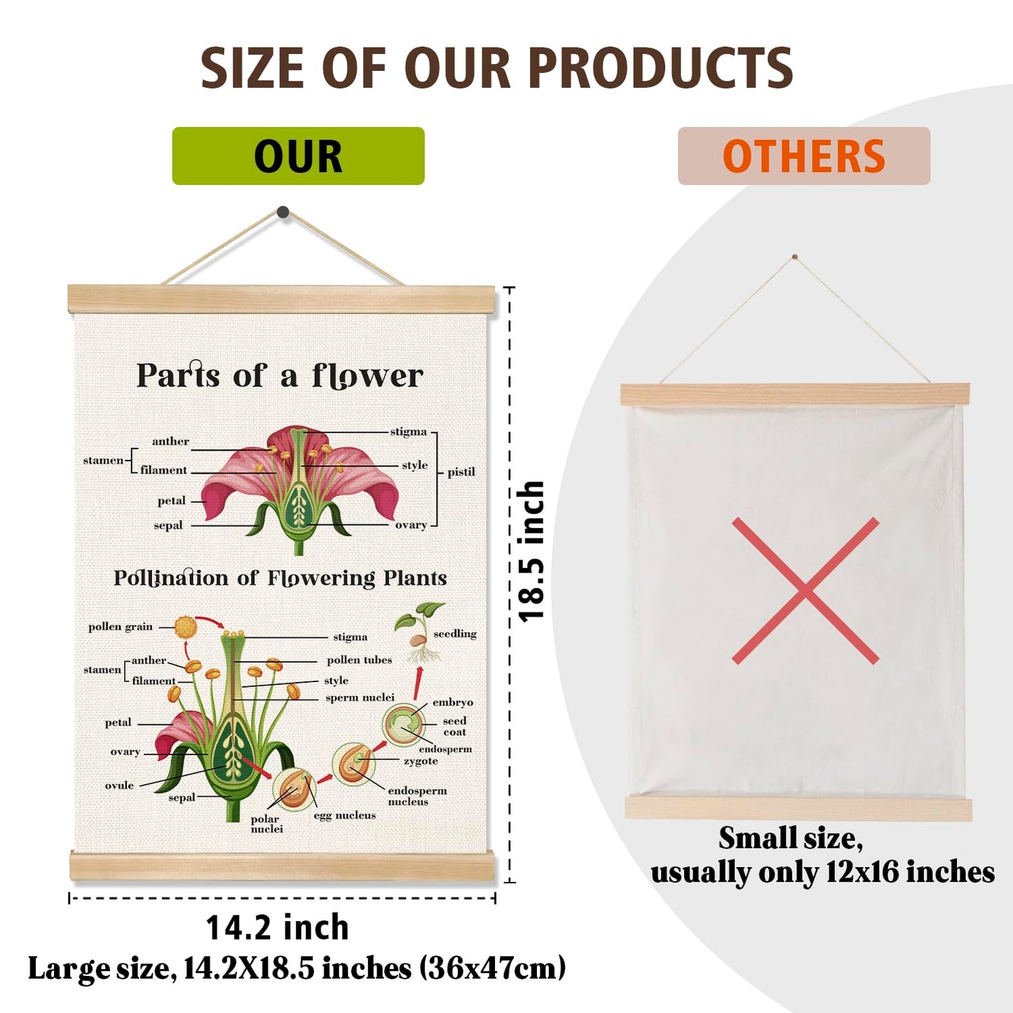 Parts of a Flower Educational Cognitive Poster,14x18.5 Inch Linen Canvas Wall Chart Plants Flower Structure and Pollination Science Learning Decor for Classroom, Homeschool ,Kids Room Decor (Pink-Flower)