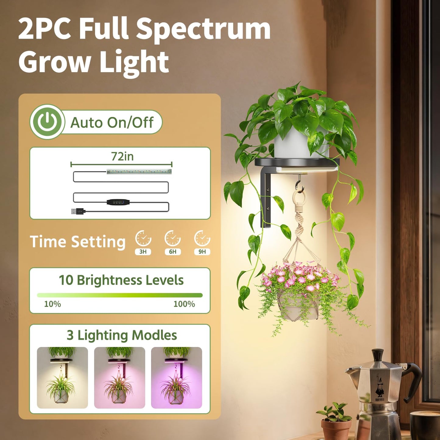 LASZOLA Plant Hangers Shelves Wall Mounted Indoor with Grow Lights, Metal Window Plant Holders, 2Pcs Modern Floating Flower Display Stand with 2 Hooks for Outdoor Kitchen Bathroom Decor, Black