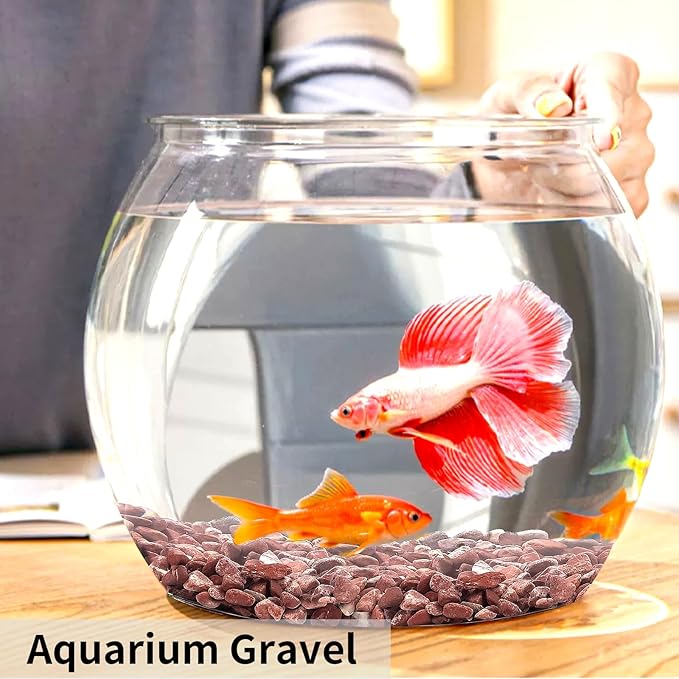 FANTIAN 2 lbs Succulent and Cactus Pebbles Gravel, 3/8 Inch Decorative Red River Rocks for Plants Indoor, Vases, Terrarium, Potted Top Dressing and Outdoor Decorative Stones