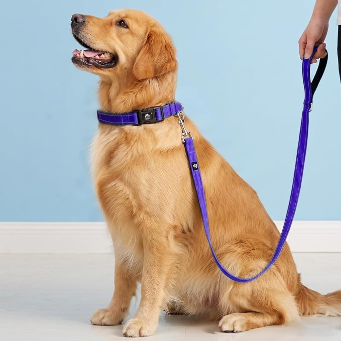 FURRYFECTION Reflective Dog Collar and Leash Set with Quick Release Buckle, Padded with Neoprene Adjustable Nylon Dog Collar for Small Medium and Large Dogs (Medium Collar+5FT Leash, Purple)