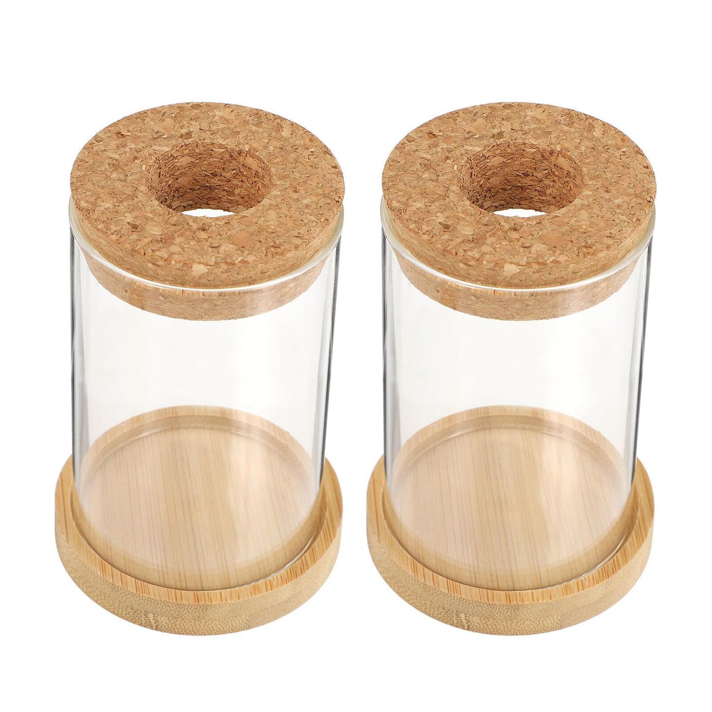 LOORGVEL 2pcs Hydroponics Plant Terrarium Glass Vases with Stand 6.5x10cm Desktop Water Planting Container for Office Home Decoration