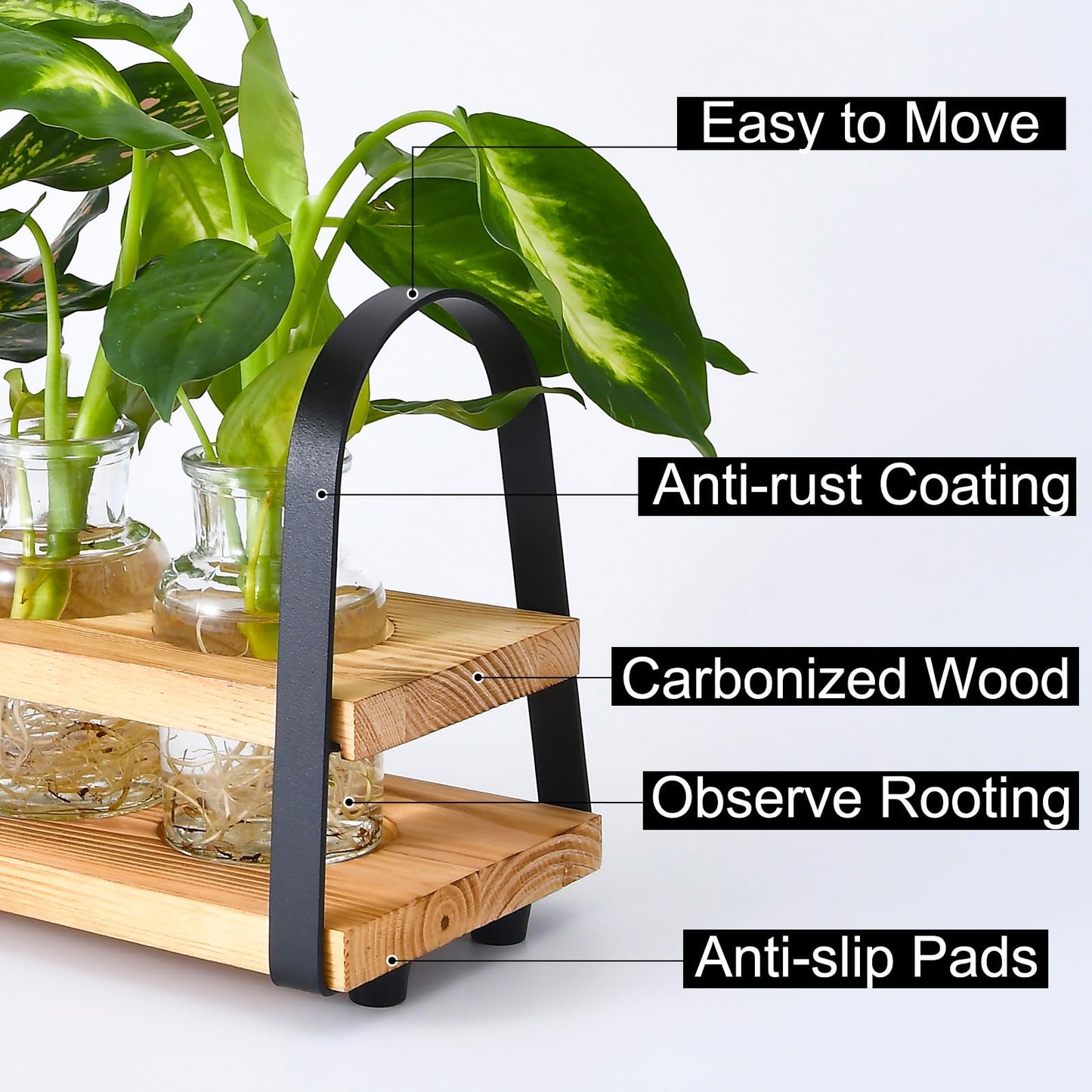 VIKEYHOME Plant Propagation Station with Wood Stand, Desktop Terrarium for Hydroponic, Flower Vase for Home, Kitchen, Office Decor, Plants Lover Gifts