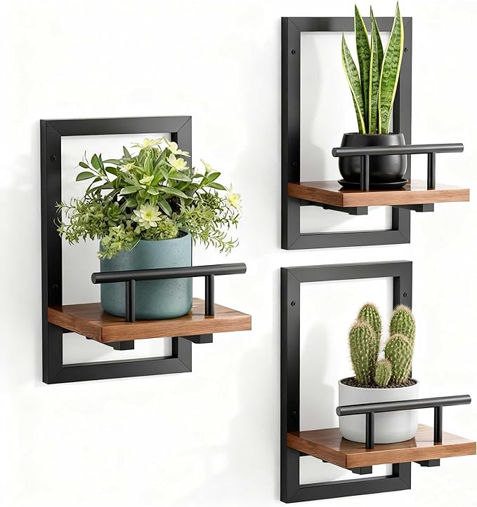 Sbosbo Floating Shelves for Wall, Plant Shelf Indoor, Wall Planters for Indoor