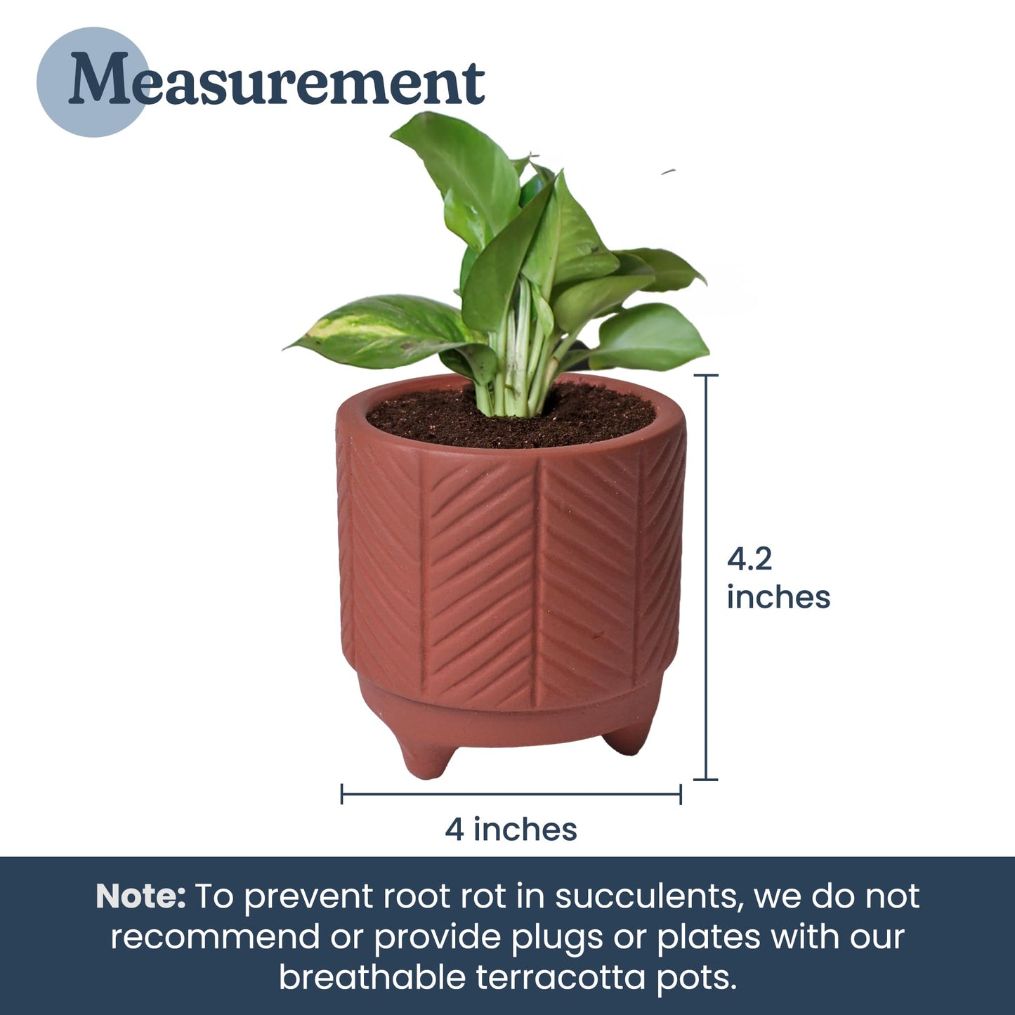 FINE Living 4 Inch Terracotta Pot with Chevron Pattern, Boho Ceramic Planter Clay Pots for Indoor Plants, Succulent Planter with Drainage Hole and Mesh Net for Gifts, Garden & Home Decor