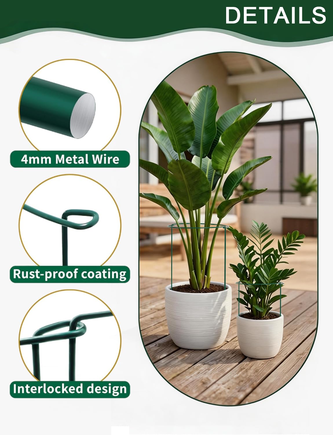 12 Pack Plant Support Stakes, 10" W x 16" H Metal Peony Cages and Supports, Green Half Round Garden Plant Support Ring for Outdoor Indoor Plants, Rose, Hydrangea, Tomato, Snake Plant