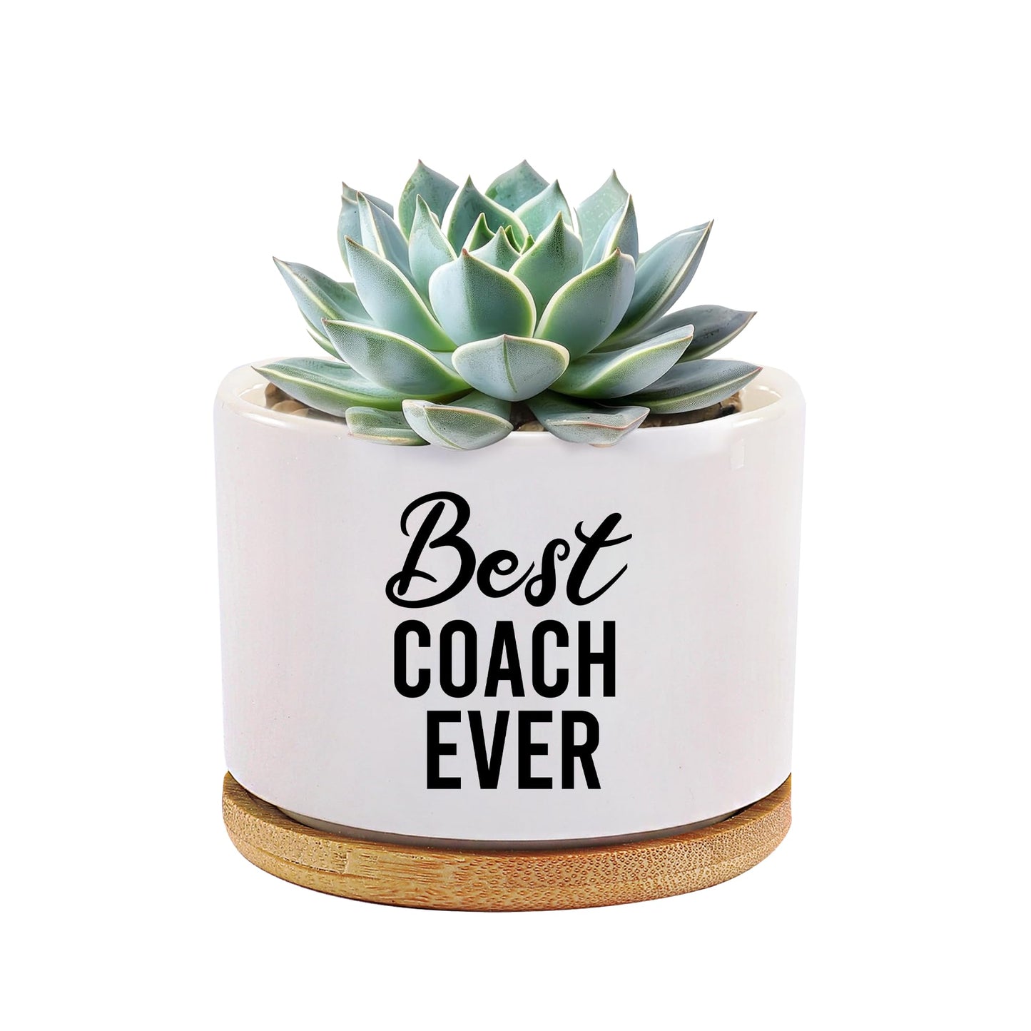 Best Coach Ever Coach Gifts Ceramic Succulent Plant Pot with Bamboo Tray Round Sports Gym Instructor Basketball Volleyball Football Soccer Home Office Decor Plant Lover 3.5 Inch White (No Plants)