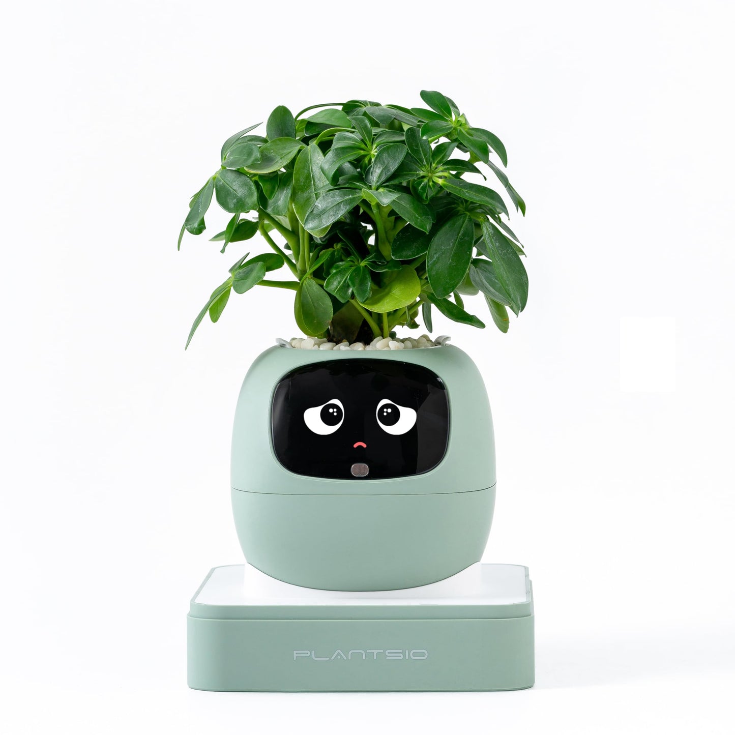 PLANTSIO Ivy Interactive AI Desk Companion, Smart Plant Pet with 100+ Expressions, Cute Indoor Planter for Office Decor, Unique Gift for Plant Lovers & Coworkers(Mint)