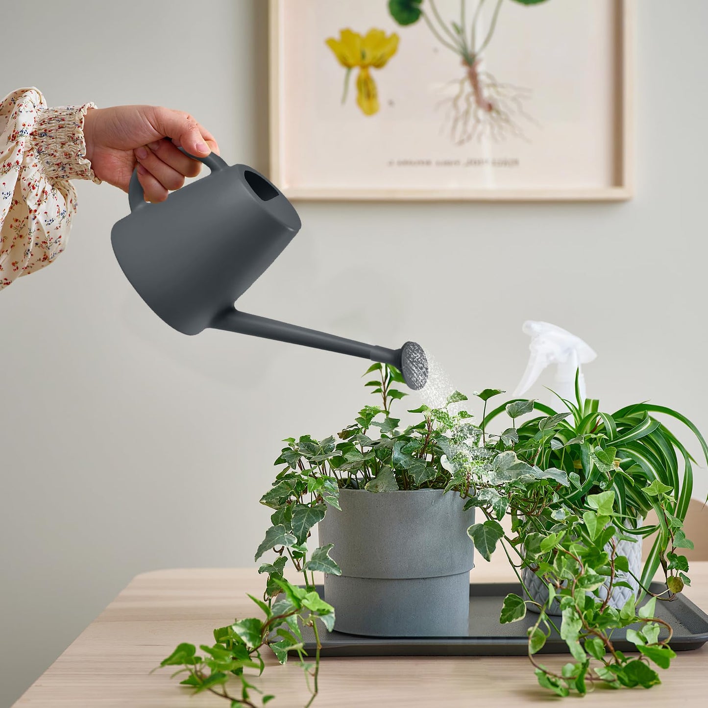 TEIUKAX Indoor and Outdoor Watering Can - Long Spout -1/2 Gallon (64oz) - Grey