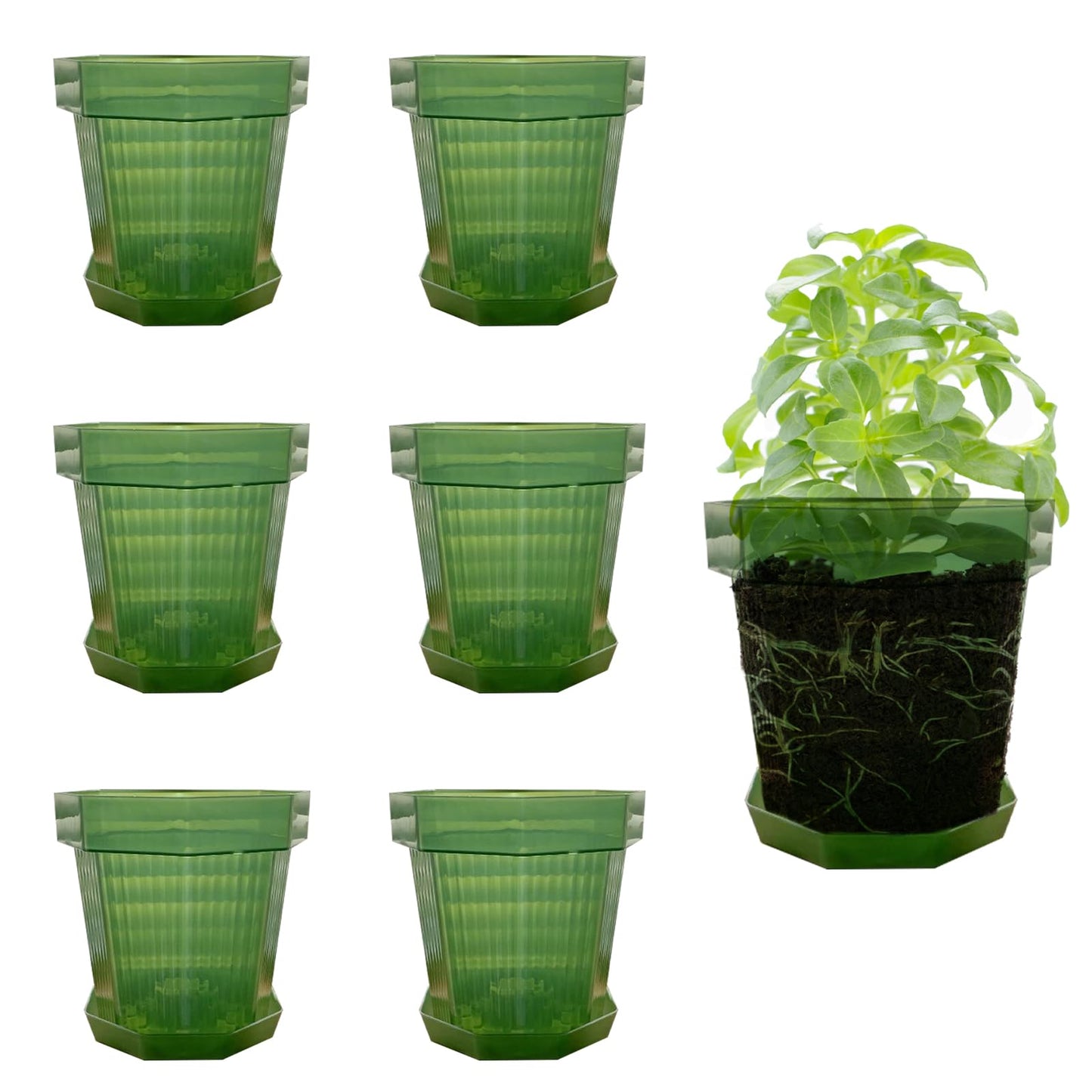 Riadyet 7-Pack 6 Inch Plastic Planter Pots – Small Modern Matte Flower Pots with Drainage Holes and Saucers for Indoor, Outdoor, and Office Use (Green)