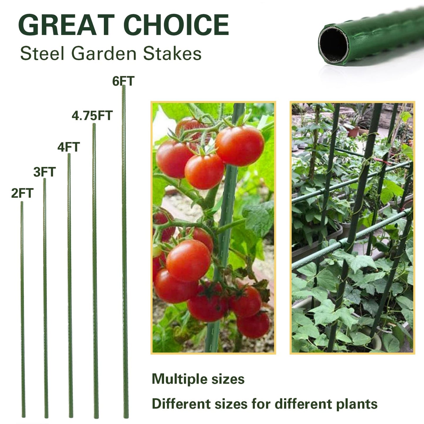 Sprigra Garden Stakes 4ft, Metal Plant Stakes 48 inch, Sturdy Plant Support for Climbing Plants, Tomatoes, Beans, Cucumbers, Peppers, Flowers, Potted, Strengthen and Stem to Grow Better