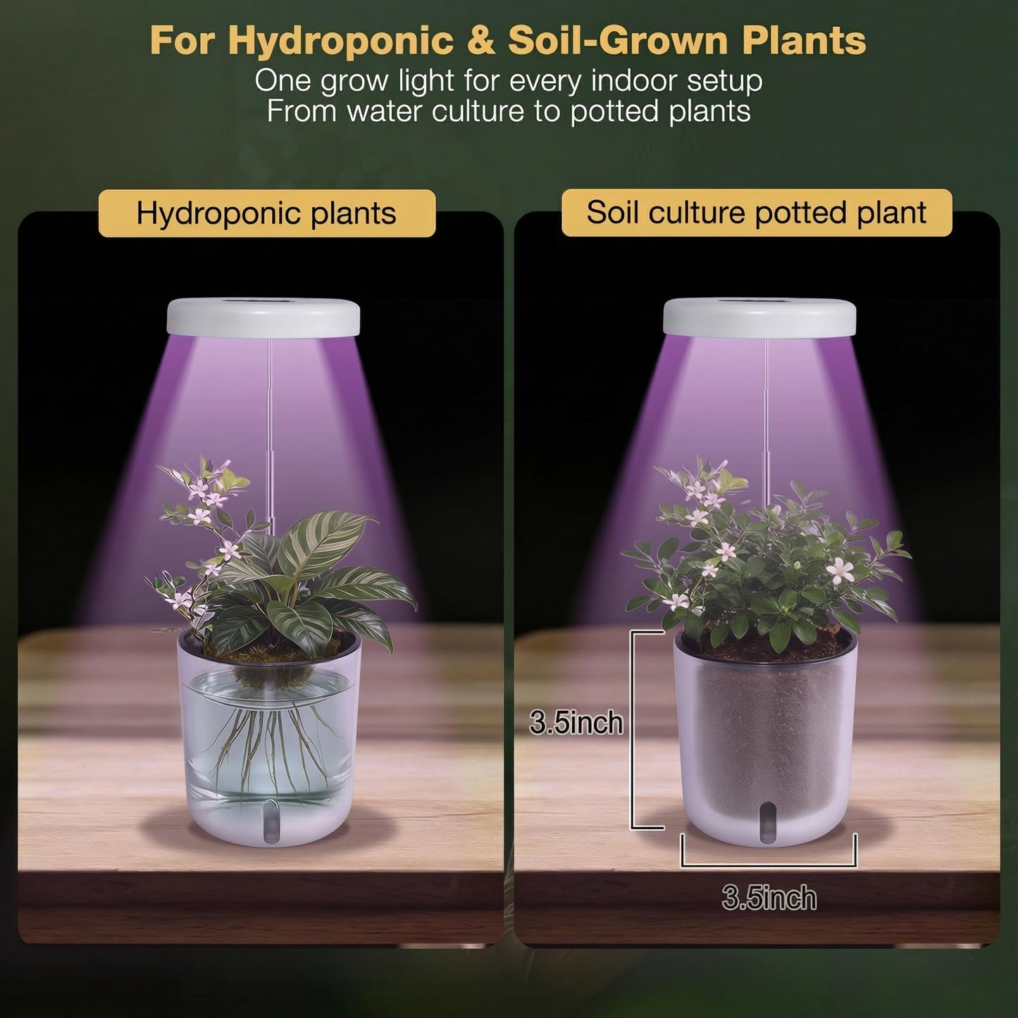 Raygrov Self-Watering Planter with Grow Light, Smart Indoor Pot for Venus Fly Trap, Carnivorous Plants, African Violet, Cat Grass, Catnip & Herbs, 2-in-1 Wall + Desktop, USB 5W Full Spectrum LED
