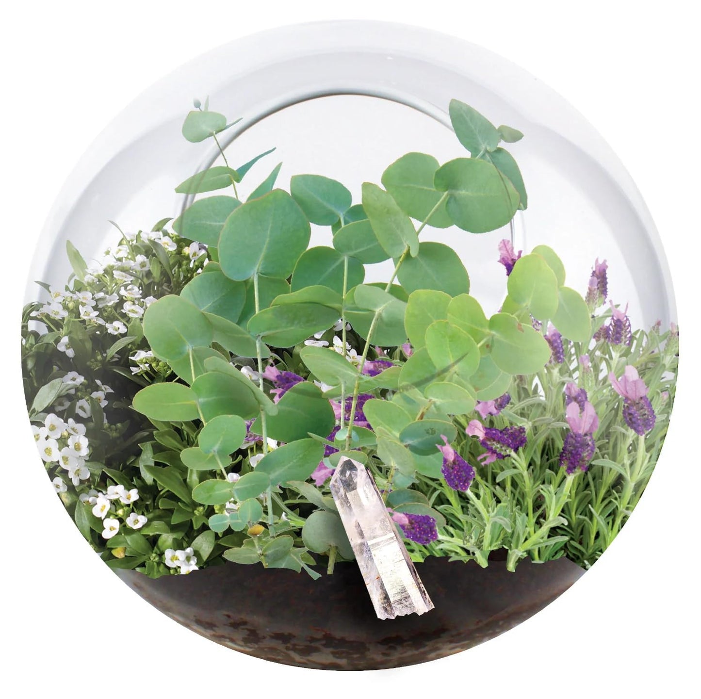 Grow Your Own Terrarium by Unique Gardener - Quick Blooms, Easy Care - Perfect for Home or Office! (Crystal Glass Garden)