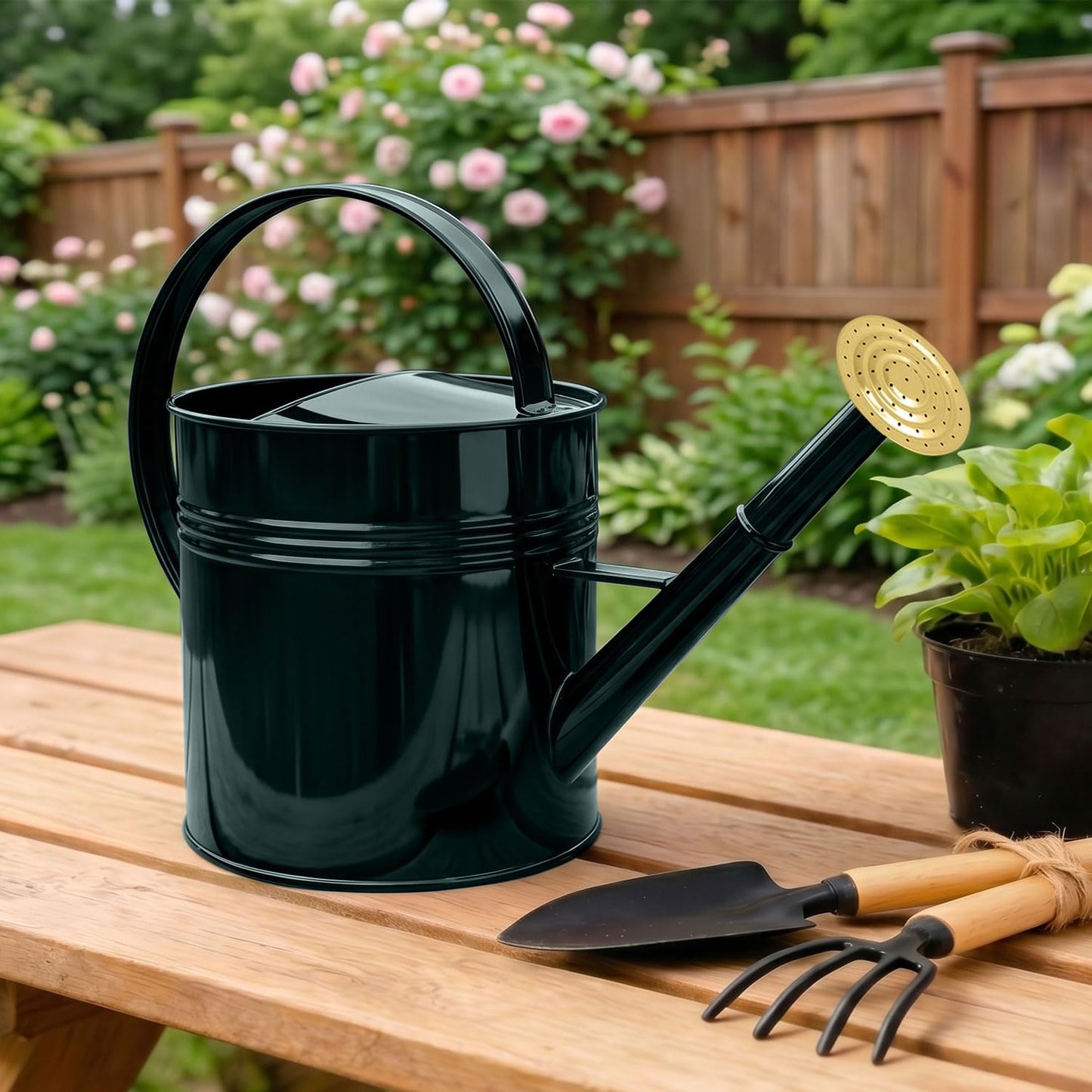 LONGRUN 2.5 Gallon Dark Green Metal Watering Can for Plants and Garden with Removable Spout, Made of Galvanized Iron