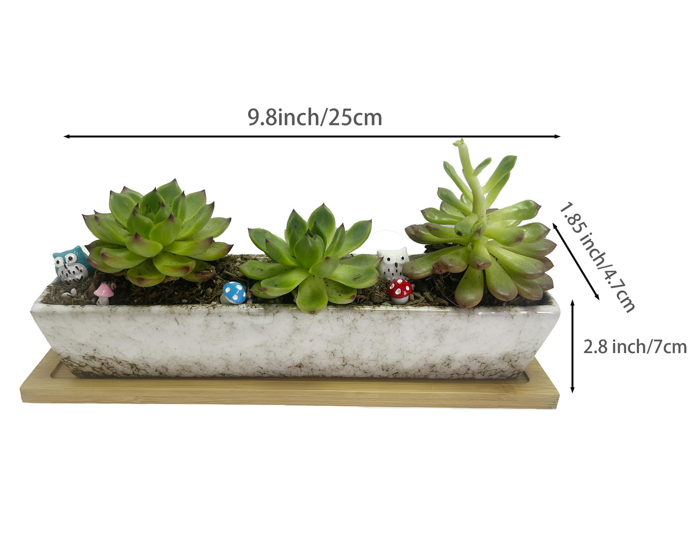 SWONVI 10 inch Ceramic Succulent Planters with Drainage Small Bonsai Pot with Bamboo Tray, Mini Shallow Planter Pot, Rectangular Window Planters for Indoor Plants (White 1 pcs)