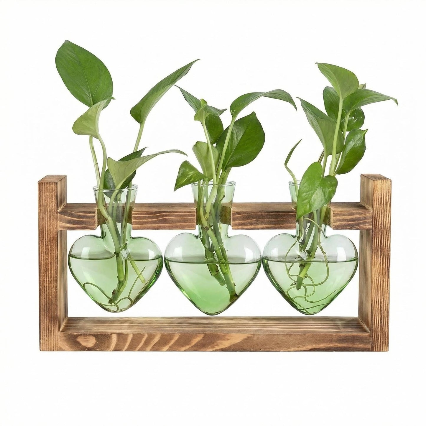 Plant Propagation Station 3Pcs Heart Vase with Wooden Stand Tabletop for Hydroponics Indoor Home Table Decor for Her Plant Lovers Women Mom Wife Daughter (Green)