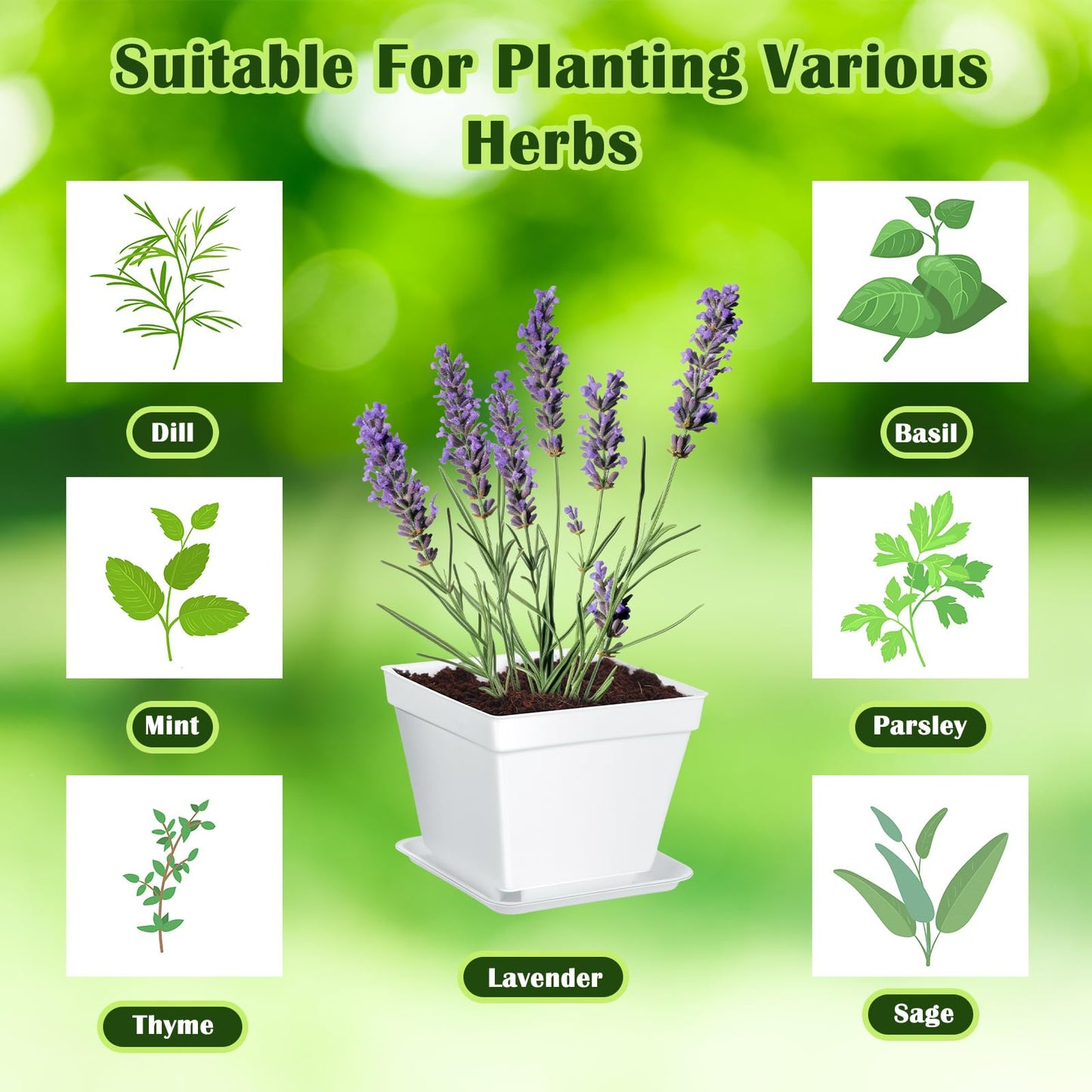 Ripeng 10 Set Indoor Herb Garden Starter Kit, Herb Growing Kit with Pots, Nutritional Soil, Plant Markers, Kitchen Window Planter, Gardening Gift for Women Men Indoor Outdoor