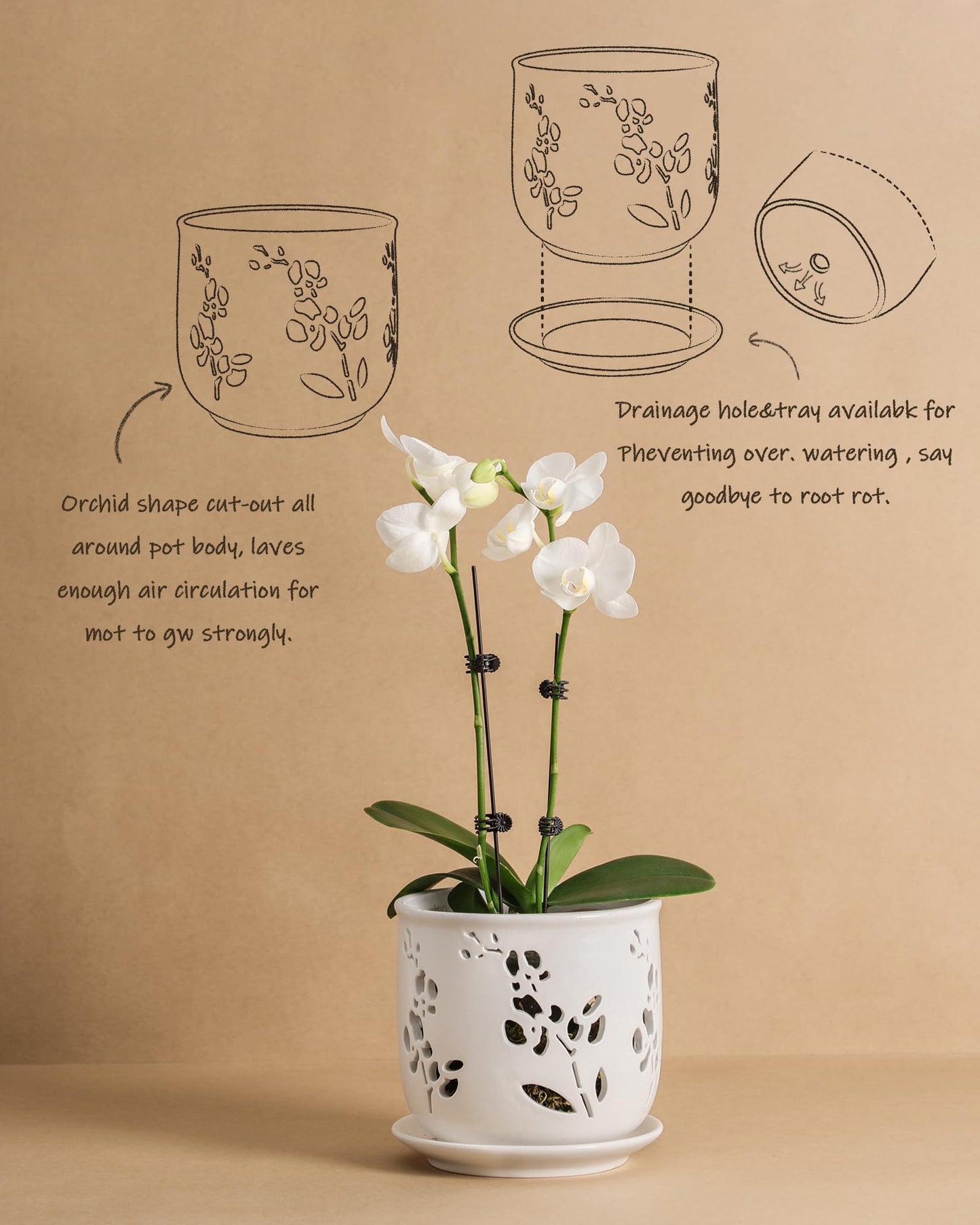 Fayoula Orchid Pots 6.5 Inch Large with Drainage Holes Ensuring Healthy Growth & Easy Repotting, Premium Ceramic for Indoor and Outdoor, Perfect Home Thriving Orchids。