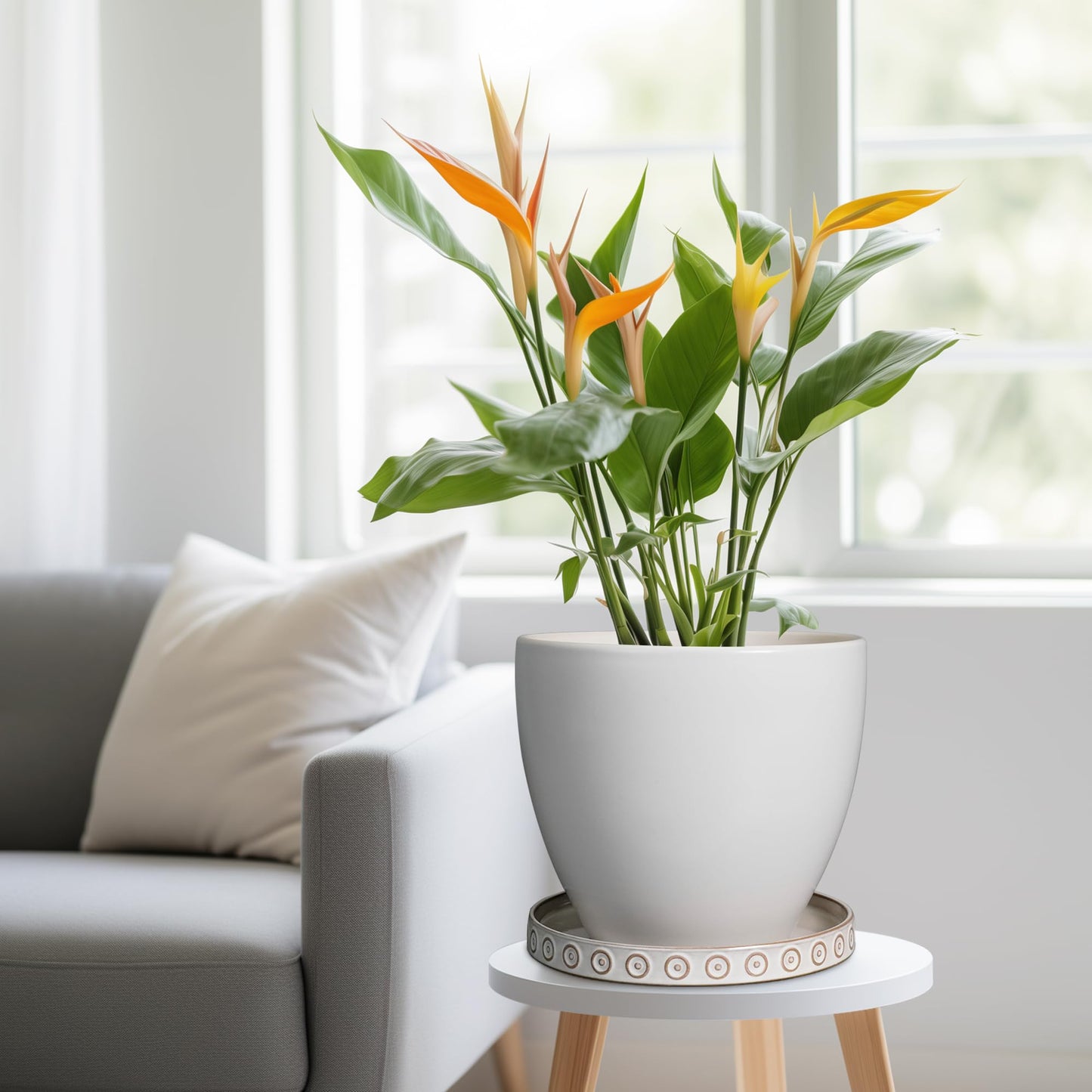 Eightpot Plant Drip Tray - Ceramic Plant Saucer for Outdoors 9.3 Inch Plant Tray for Indoors No Holes Plant Pot Saucer Plant Dishes to Catch Water Round Plant Drainage Trays, Cream White